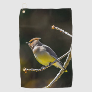 Cedar Waxwing Songbird Original Wild Bird Photo Golf Towel