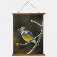 Cedar Waxwing Songbird Original Wild Bird Photo