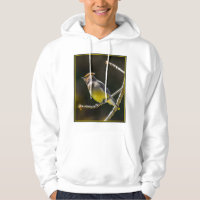 Cedar Waxwing Songbird Original Wild Bird Photo