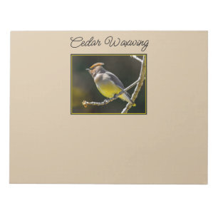 Cedar Waxwing Songbird Original Wild Bird Photo Notepad