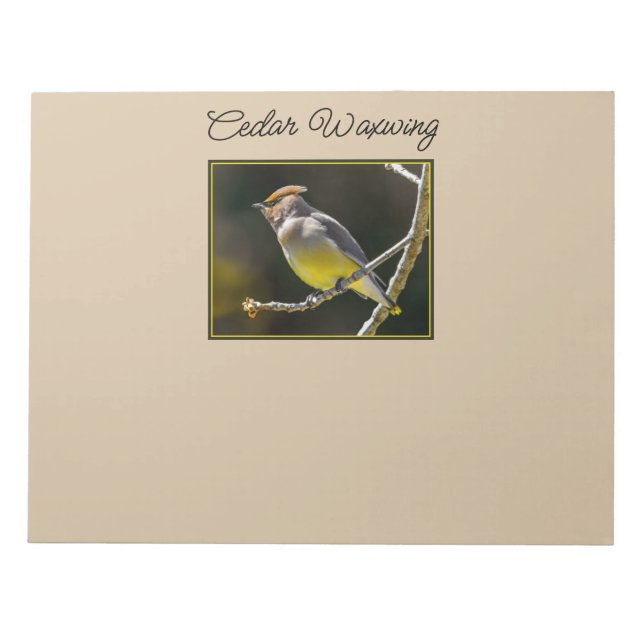 Cedar Waxwing Songbird Original Wild Bird Photo Notepad (Front)