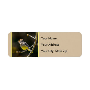 Cedar Waxwing Songbird Original Wild Bird Photo Return Address Label