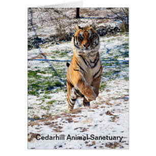 Cedarhill Animal Sanctuary Card