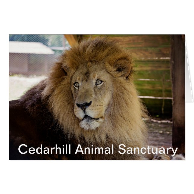 Cedarhill Animal Sanctuary Card (Front Horizontal)