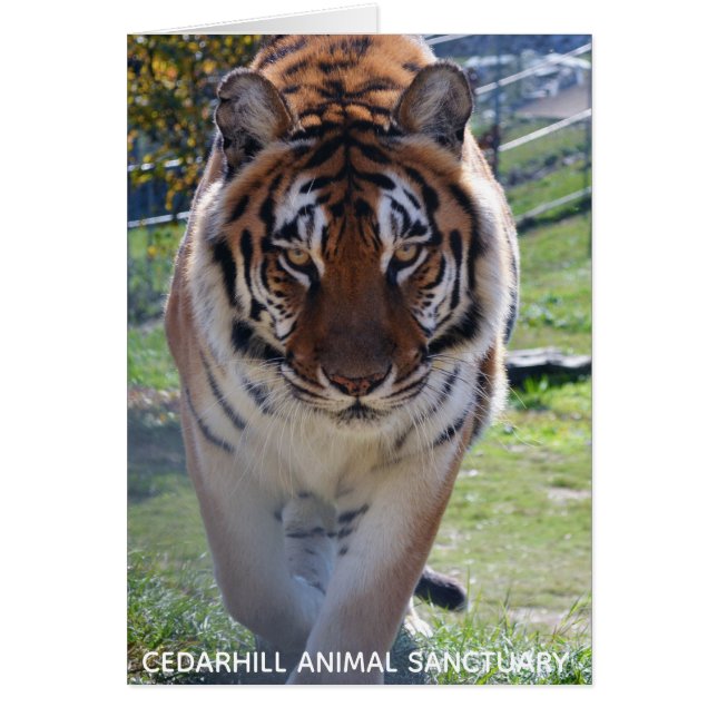 Cedarhill Animal Sanctuary Card (Front)