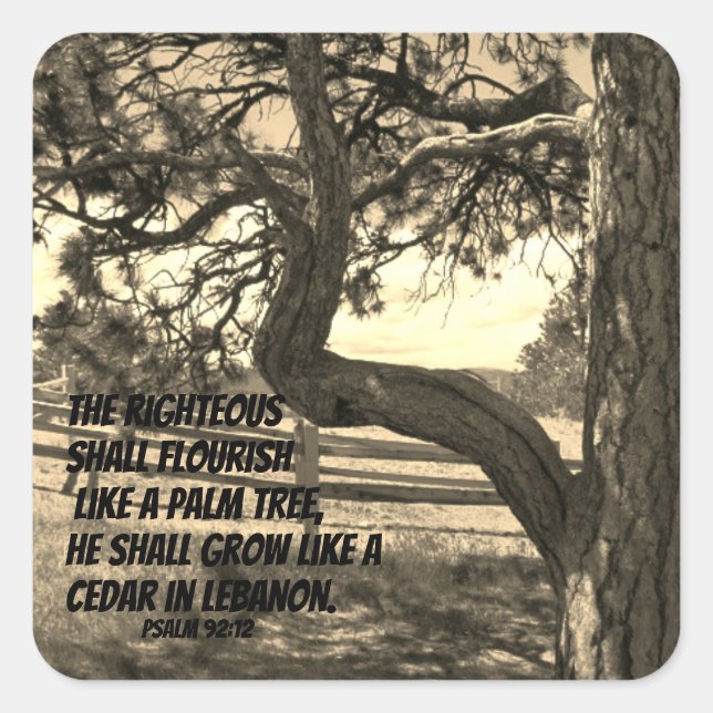 Cedars of Lebanon Bible Verse Psalm 91:12  Square Sticker (Front)