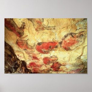 Ceiling at Altamira Poster