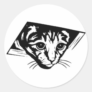 Ceiling Cat Classic Round Sticker
