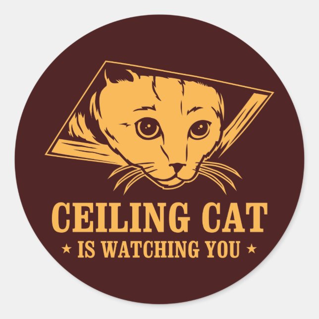 Ceiling Cat is Watching You Classic Round Sticker (Front)