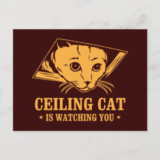 Ceiling Cat is Watching You Postcard