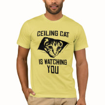 Ceiling Cat is Watching YOU!
