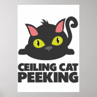 Ceiling Cat Peeking Funny Internet Meme Art