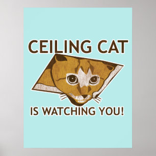 Ceiling Cat Poster