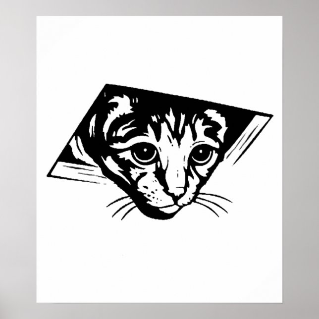 Ceiling Cat Poster (Front)
