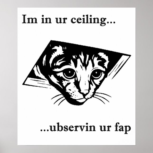 Ceiling Cat ubservin u... Poster (Front)