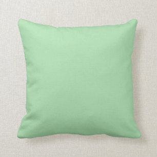 Celadon Colour Background Light Green Pastel Jade Cushion