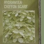 Celadon Green Hydrangea Blossoms Elegant Scarf<br><div class="desc">This elegant chiffon scarf is covered in tiny delicate pale celadon green hydrangea blossoms. It is a unique fresh  pastel colour that looks great with any other colour and compliments any fashion style. This is a neutral,  light and airy floral and is ultra feminine. Original botanical photography by JLW_PHOTOGRAPHY.</div>