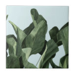 Celadon Palms Ceramic Tile<br><div class="desc">Celadon Palms II by Emma Scarvey. Features deeply coloured tropical foliage against a pastel background.</div>