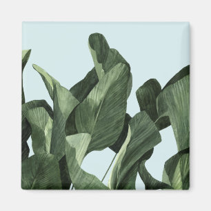 Celadon Palms Magnet