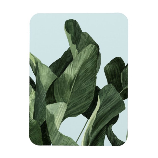 Celadon Palms Magnet (Vertical)