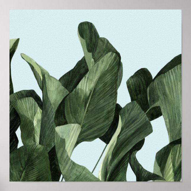 Celadon Palms Poster (Front)