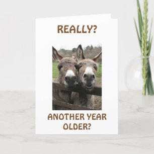 CELEBRATE BIRTHDAY TO GET ATTENTION ASKS MULES? CARD