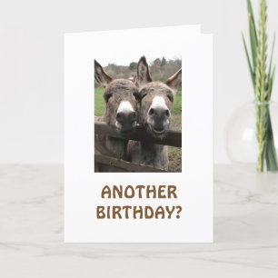CELEBRATE BIRTHDAY TO GET ATTENTION ASKS MULES? CARD