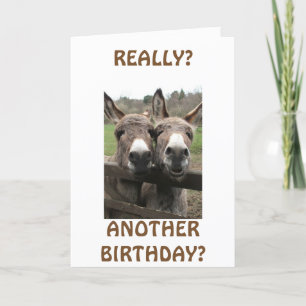CELEBRATE BIRTHDAY TO GET ATTENTION ASKS MULES? CARD