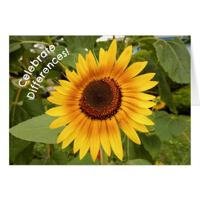 Celebrate Differences Sunflower Card (Front Horizontal)