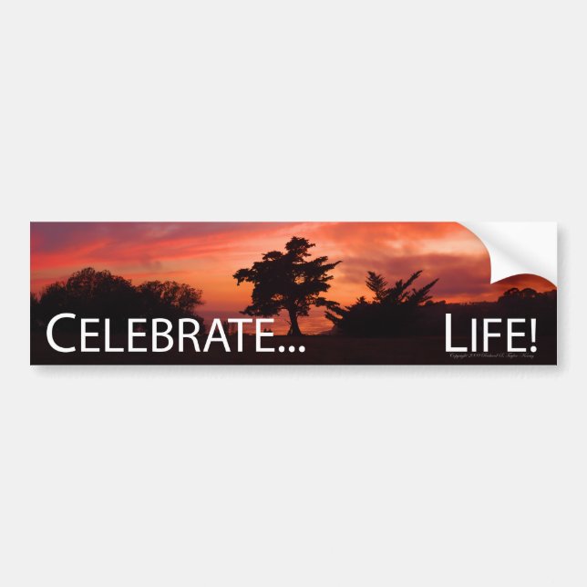 Celebrate... Life Bumper Sticker (Front)