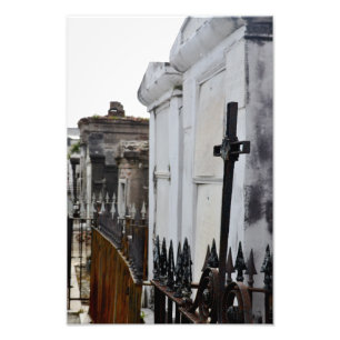 Celebrate Life Photo Print