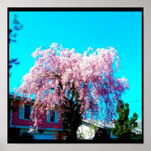 CELEBRATE LIFE poster