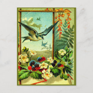 "Celebrate Nature" in style! Postcard