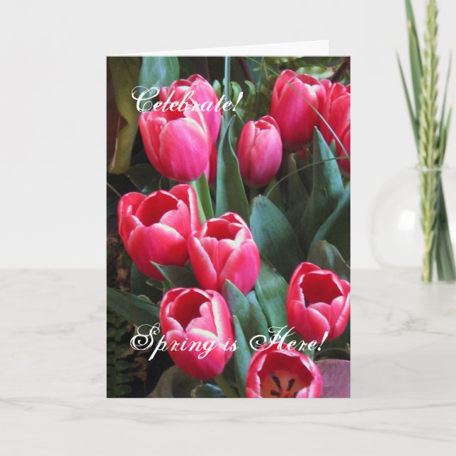 Celebrate!, Spring is Here! Holiday Card (Front)