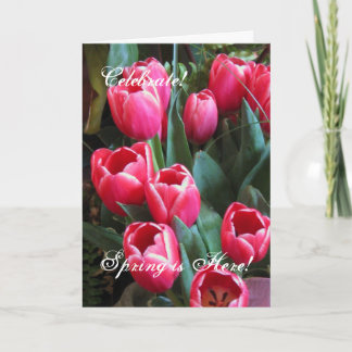 Celebrate!, Spring is Here! Holiday Card