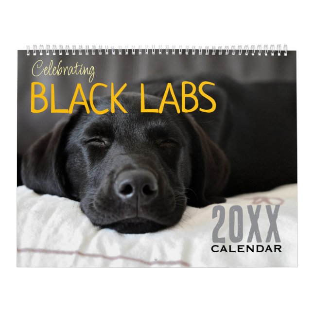 Celebrating Black Labs Labrador Dog Calendar 2026  (Cover)