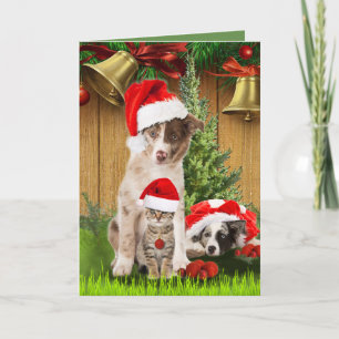 Celebrating Christmas with pet-lovers Holiday Card