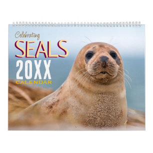 Celebrating Seals Wildlife Wall Calendar  