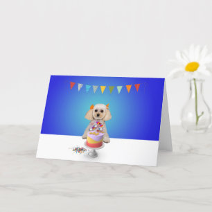 Celebration Greeting Card - Blank Inside 5x7