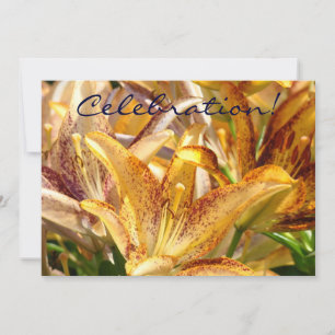 Celebration invitations Orange Lily Flowers Lilies