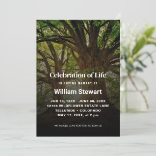 Celebration of Life   Modern Funeral Trees Invitation