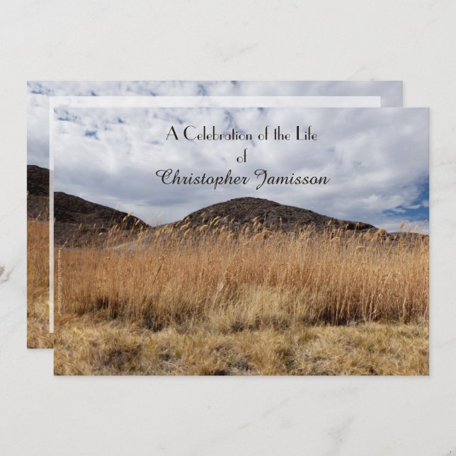 Celebration of Life, Name, Grain in the Breeze Invitation (Front/Back)