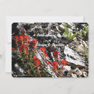 Celebration of Life, Red Flowers and Rocks Invitation