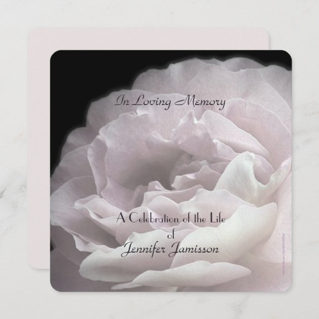 Celebration of Life Square Pale Pink Rose Floral Invitation (Front/Back)