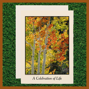 Celebration of Life, Three Aspens in Autumn Invitation