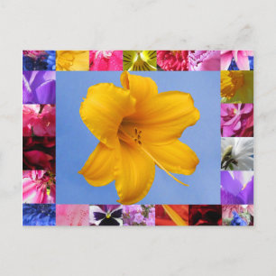 Celebration of Spring Postcard