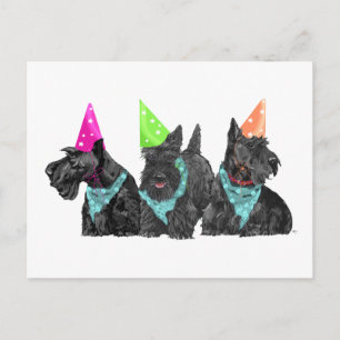 Celebration Scotties in Party Hats Postcard