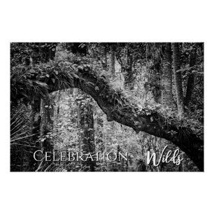 Celebration Wilds Poster