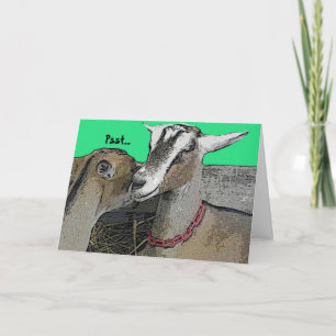 Celebratory  Humour Greeting Card