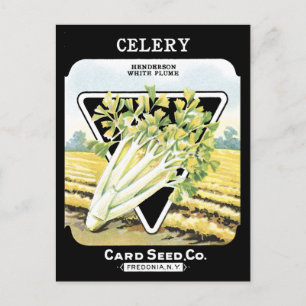 Celery Seed Packet Vintage Vegetable Fredonia NY Postcard
